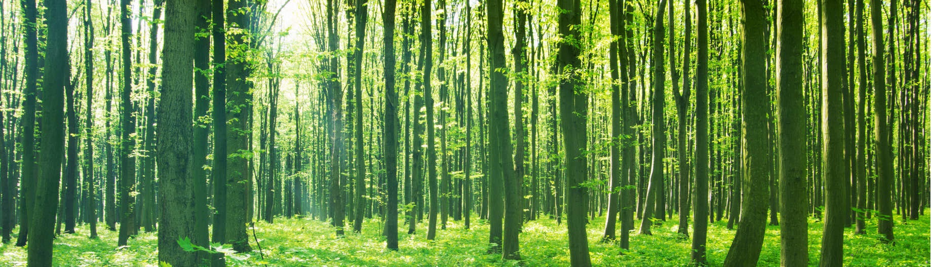 Le Tai-Chi pour un mieux-�tre!